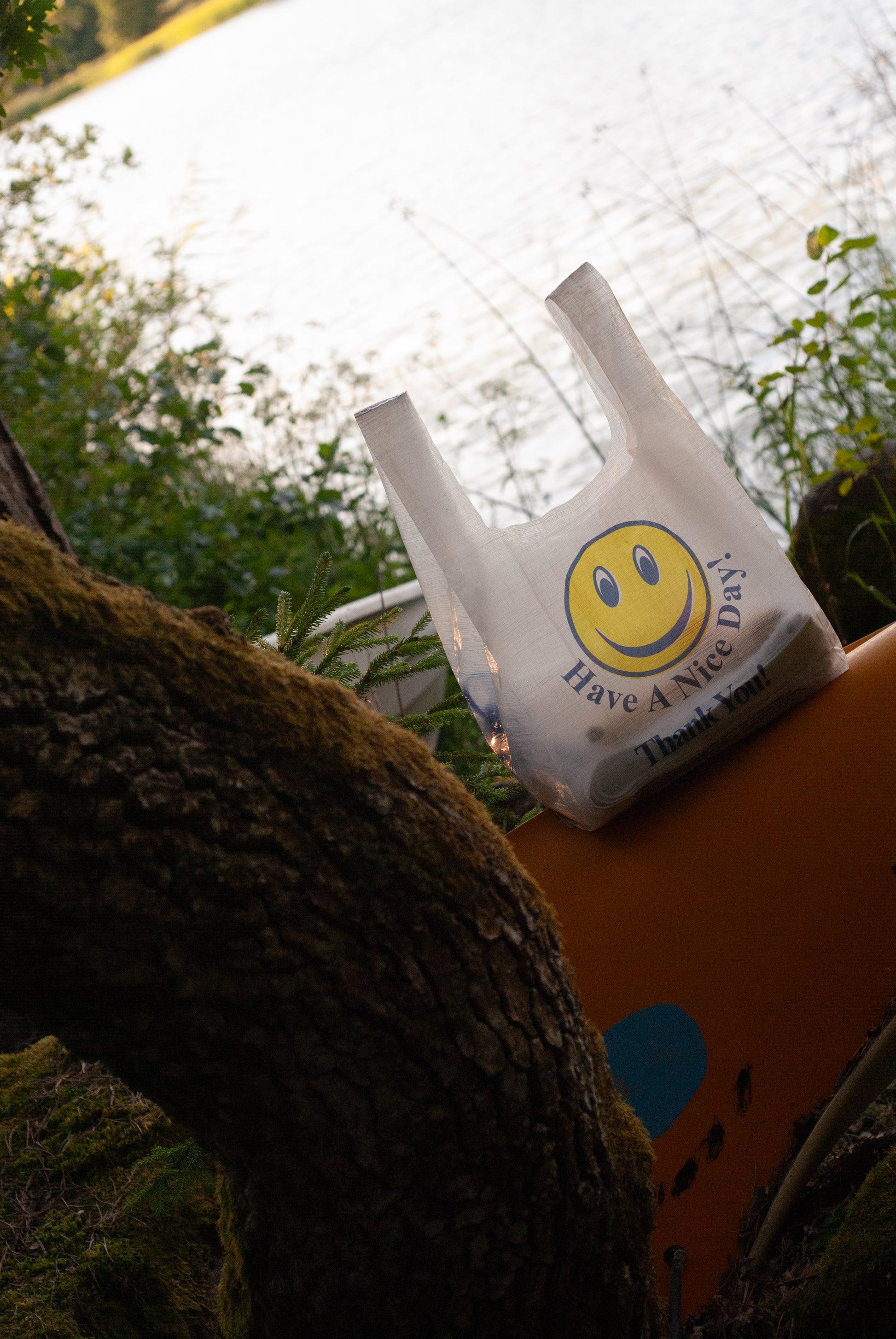 Bodega Resupply Bag - Smiley - allmansright
