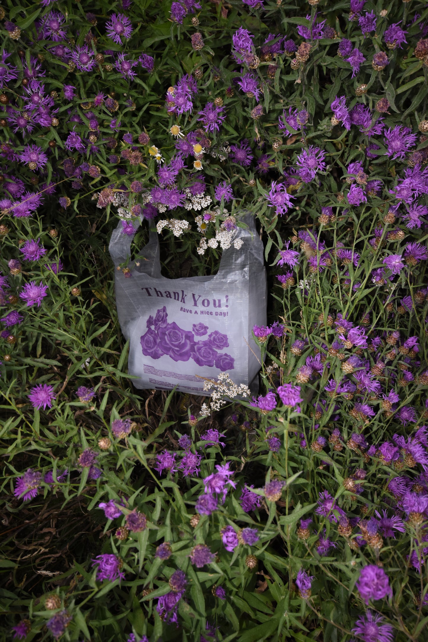 Bodega Resupply Bag - Roses - allmansright