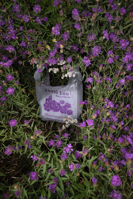 Bodega Resupply Bag - Roses