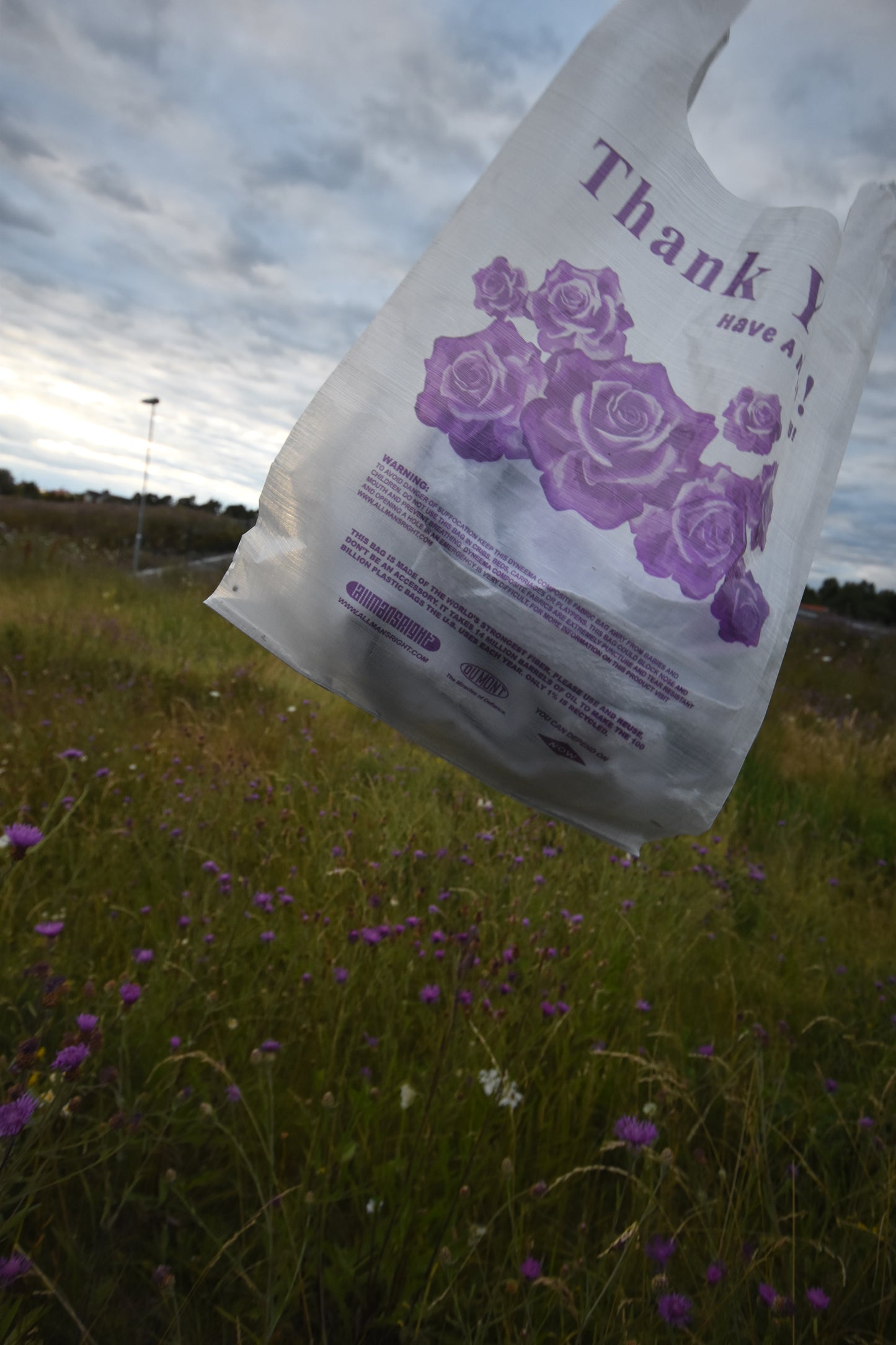 Bodega Resupply Bag - Roses - allmansright
